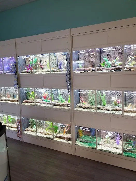 The Pet Store Picture 3