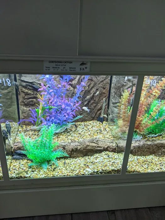The Pet Store Picture 5