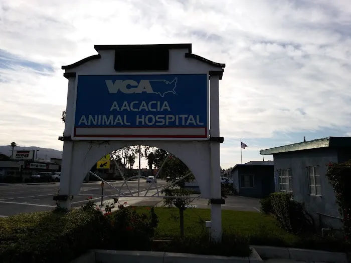 VCA Aacacia Animal Hospital Picture 7