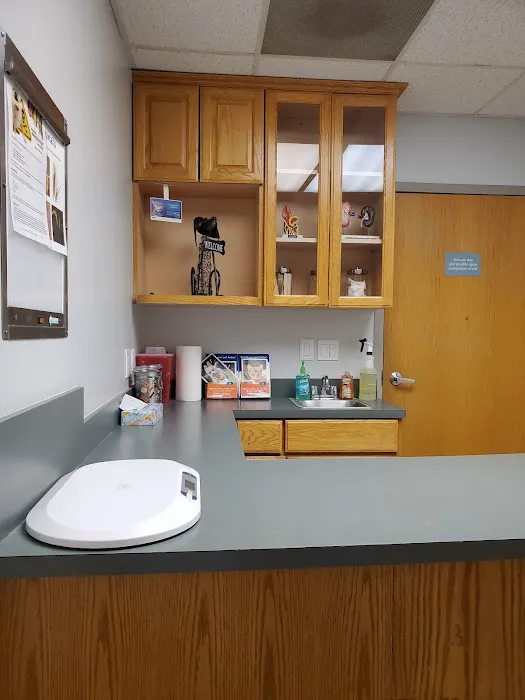 VCA Aacacia Animal Hospital Picture 9
