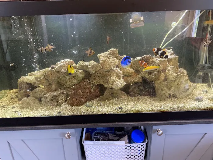 TriState Aquariums Picture 1