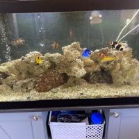 TriState Aquariums ico