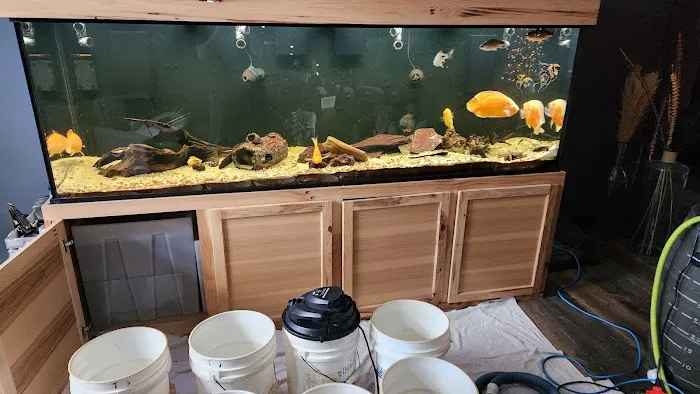 TriState Aquariums Picture 3