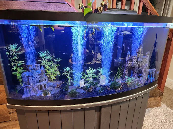 TriState Aquariums Picture 2