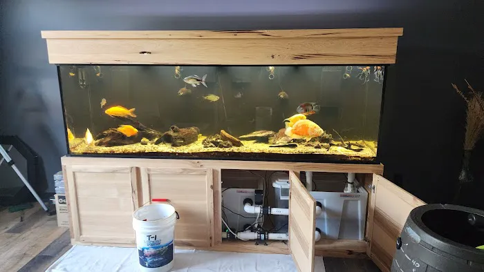 TriState Aquariums Picture 5