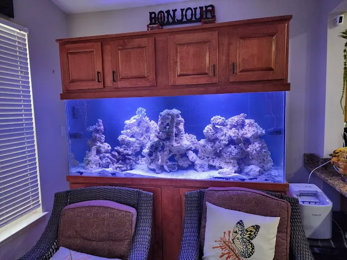 TriState Aquariums Picture 10