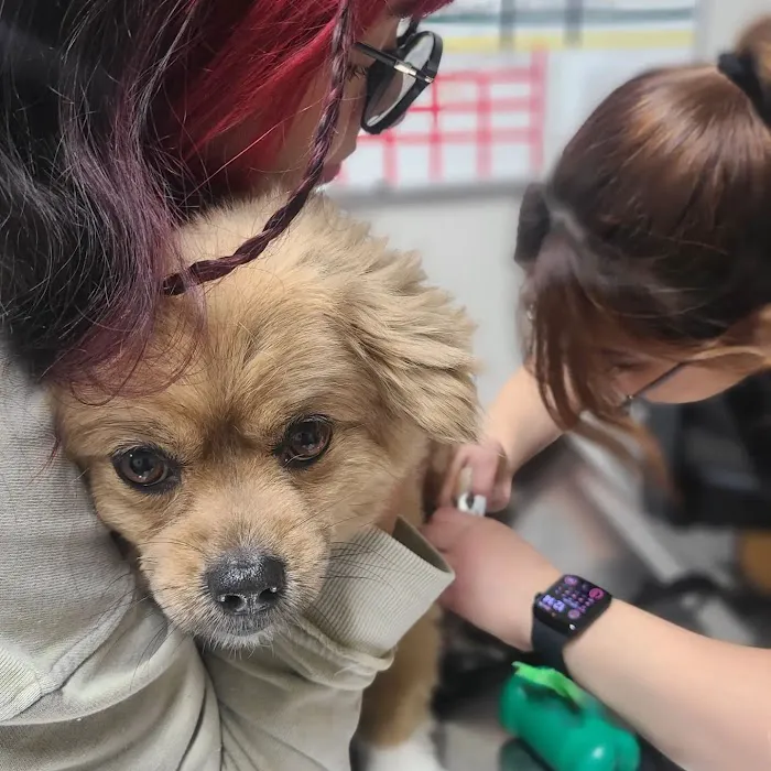 AAA Animal Hospital Picture 6