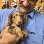 AAA Animal Hospital