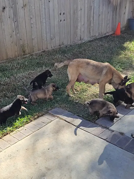 Corona Community Veterinary Hospital Picture 1