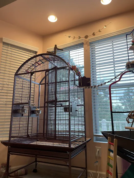 American Bird Company Picture 3