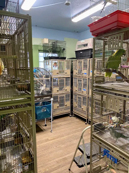 American Bird Company Picture 6