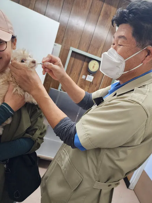 Circle City Animal Hospital Picture 5