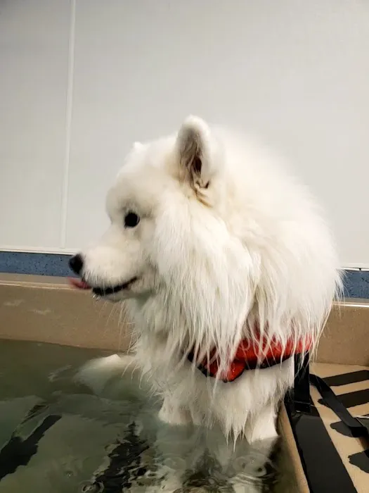Aquatic Paws Picture 9