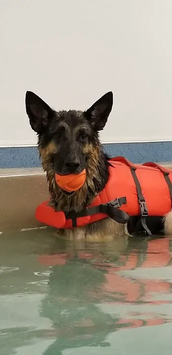 Aquatic Paws Picture 1