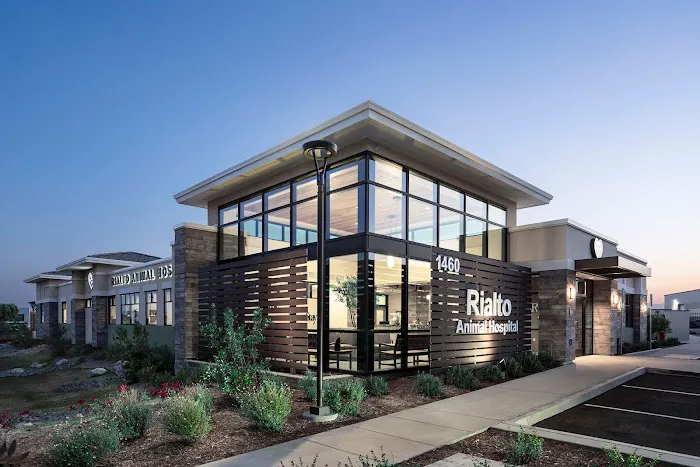 Rialto Animal Hospital Picture 2