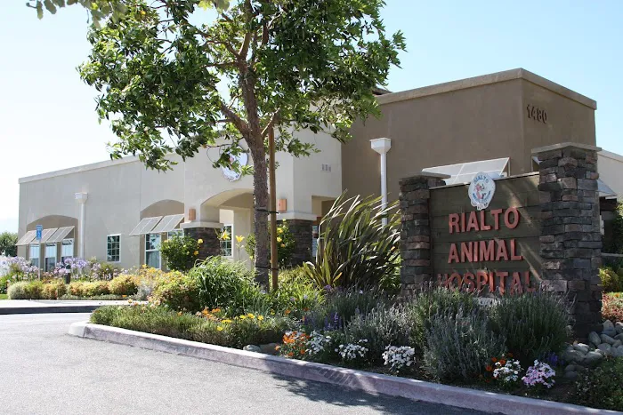 Rialto Animal Hospital Picture 1