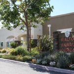 Rialto Animal Hospital