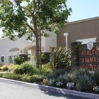 Rialto Animal Hospital ico