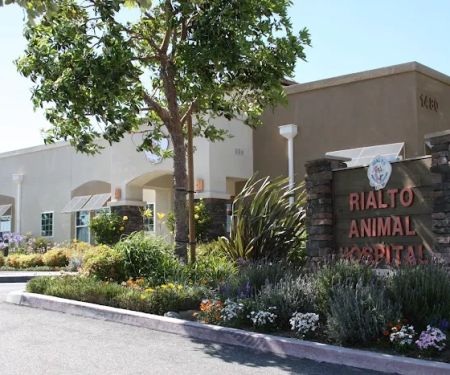 Rialto Animal Hospital