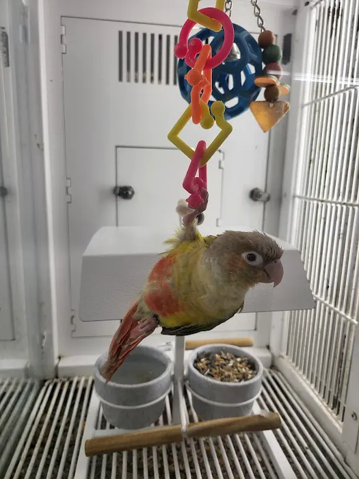 Petco Picture 8