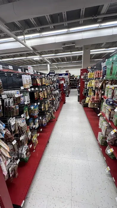 Petco Picture 2