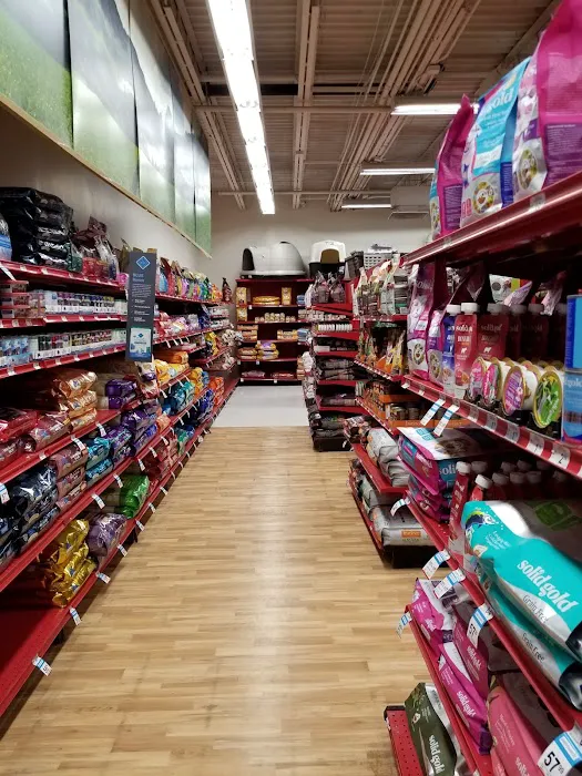 Petco Picture 9