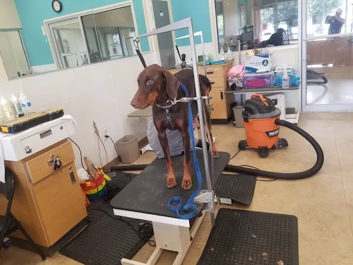 Petco Picture 7