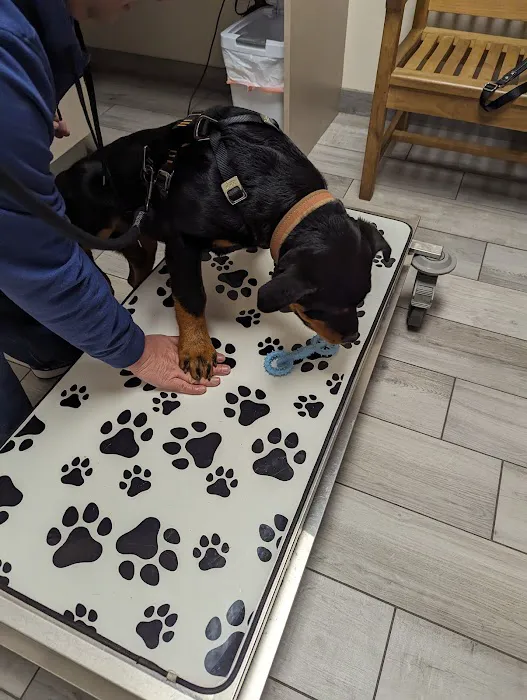 Rialto Animal Hospital: Juarez Shannon DVM Picture 4