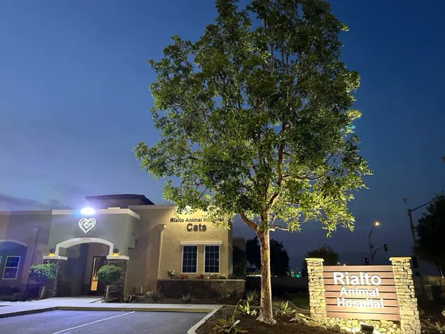 Rialto Cat Hospital Picture 4