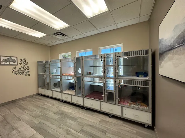 Rialto Cat Hospital Picture 3
