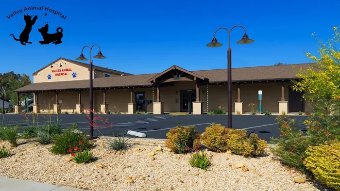 Valley Animal Hospital Picture 6