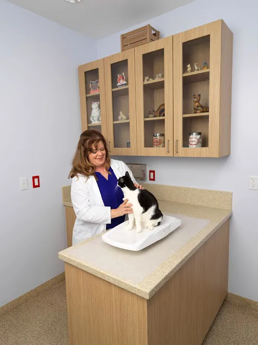 Valley Animal Hospital Picture 3
