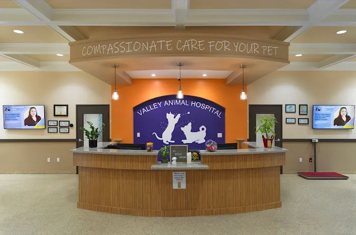Valley Animal Hospital Picture 9