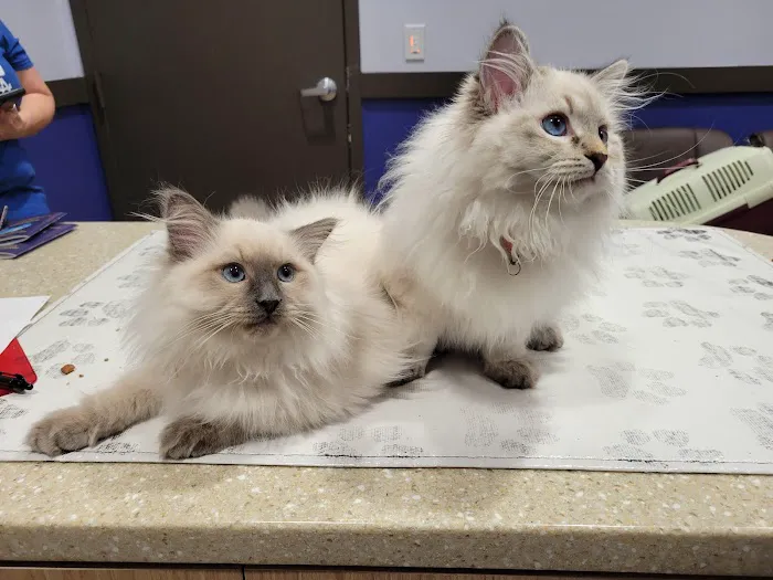 Valley Animal Hospital Picture 8