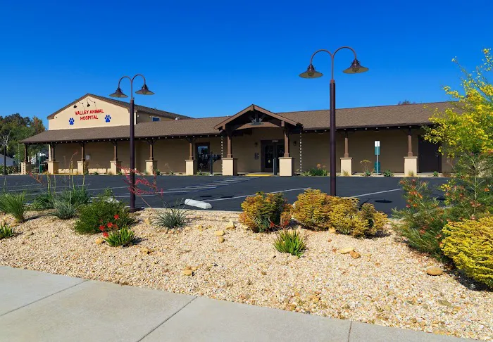 Valley Animal Hospital Picture 5