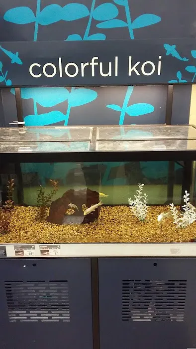 Petco Picture 7