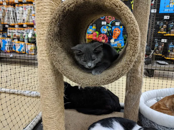 Petco Picture 4