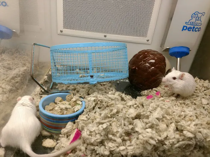 Petco Picture 8