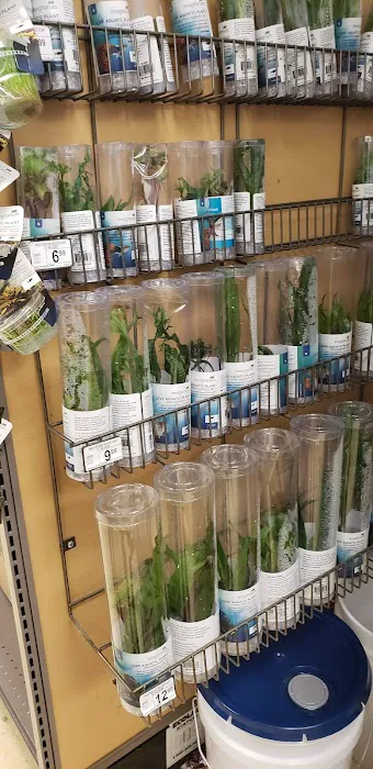Petco Picture 5