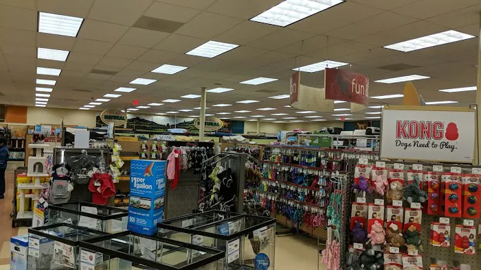 Petco Picture 1
