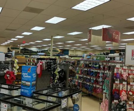 Petco