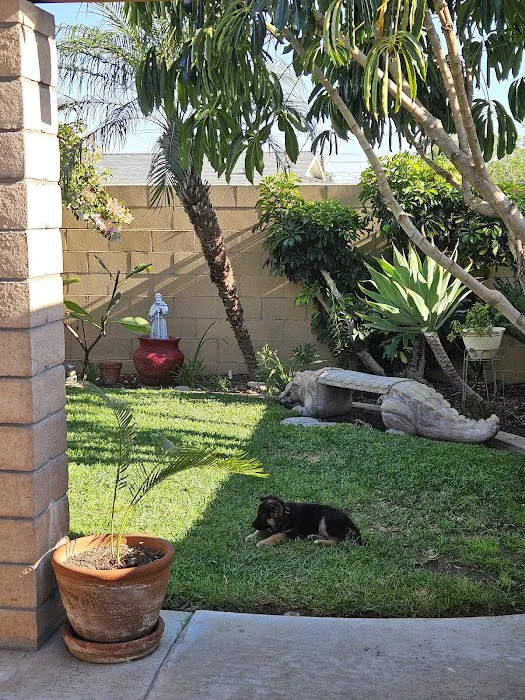 Community Animal Hospital Picture 5