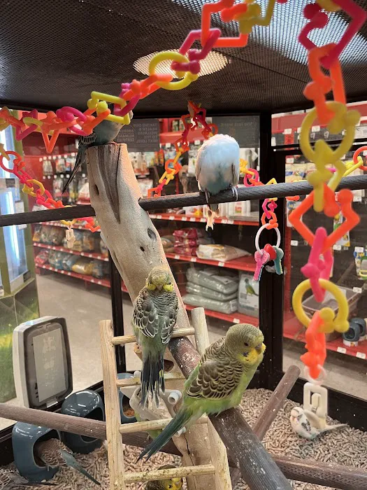 Petco Picture 2