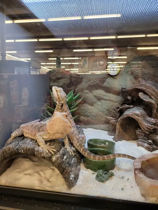 Petco Picture 10