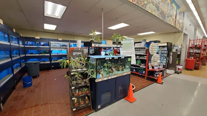 Petco Picture 1