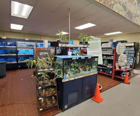 Petco