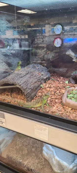 Petco Picture 6