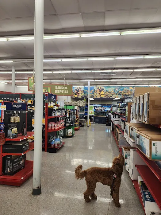 Petco Picture 5
