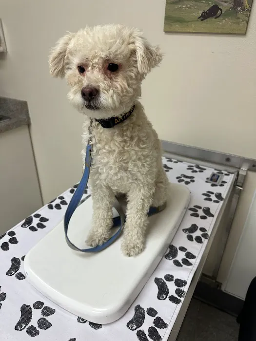 Lincoln Plaza Veterinary Clinic Picture 7