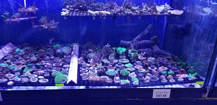 Reef eScape Picture 2